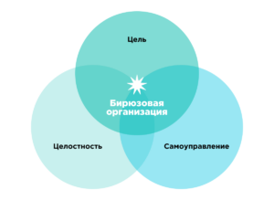 Отсутствие жесткой иерархии — главное отличие «бирюзовой» организации